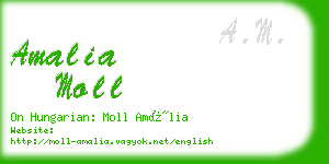 amalia moll business card